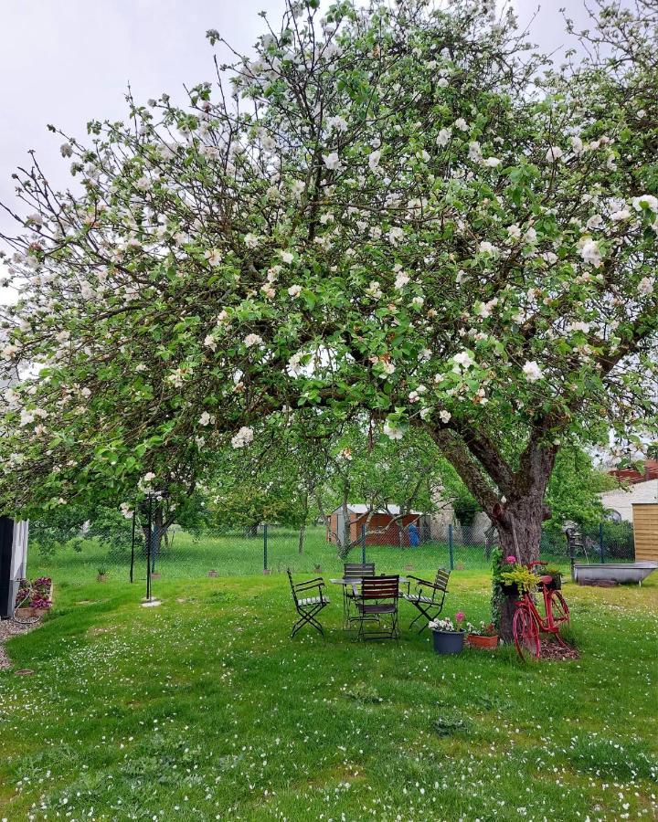 Gite Au Pommier Fleuri Et Son "Appart" Independant Drusenheim Экстерьер фото