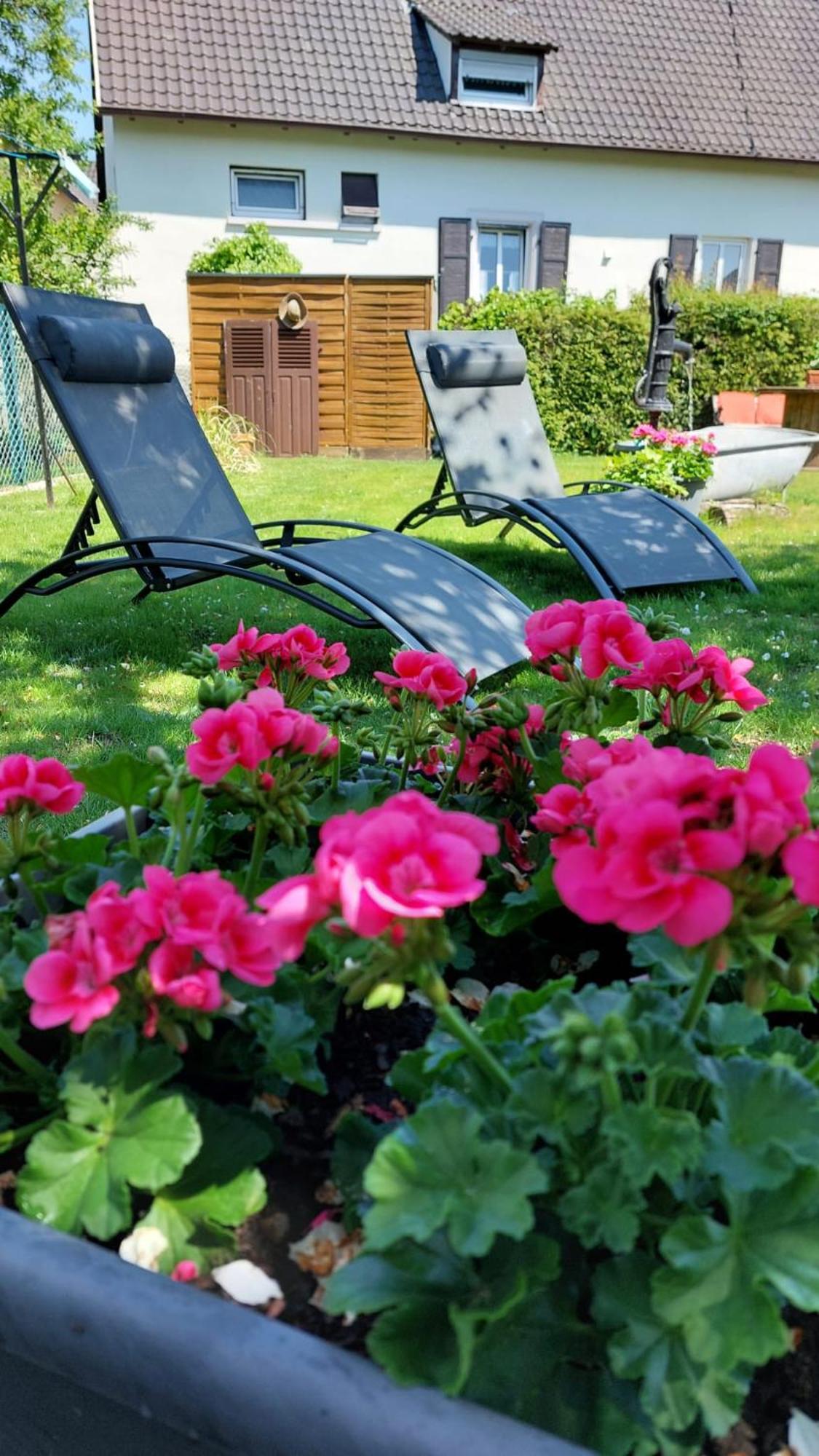 Gite Au Pommier Fleuri Et Son "Appart" Independant Drusenheim Экстерьер фото